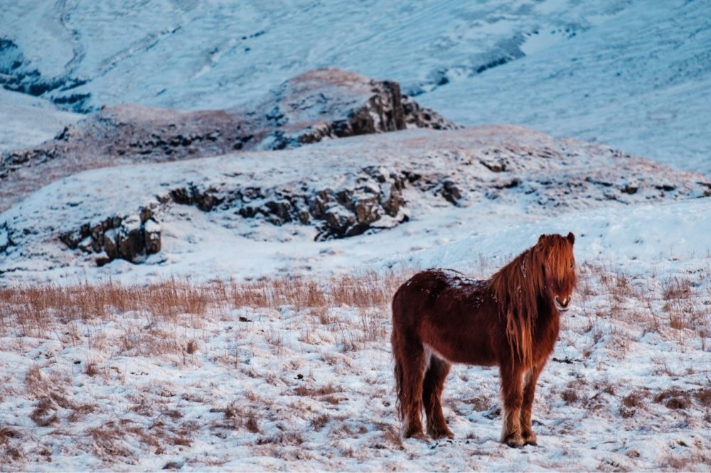 Estos son los mejores destinos de “coolcation” en Europa para el verano, según un nuevo estudio