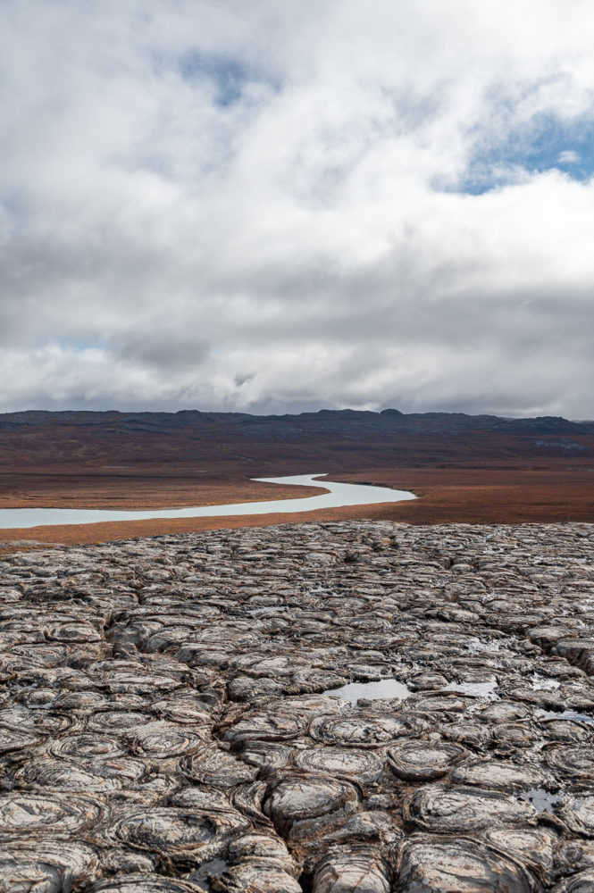 estromatolitos-fosilizados-Kogluktualuk-crucero-en-el-Artico-665x1000 - Crucero en el Ártico: encuentros inesperados en Groenlandia y Nunavut