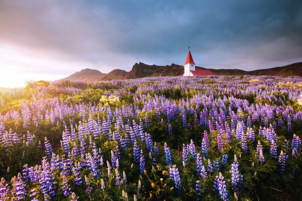 Este es el país más caro para visitar en 2025