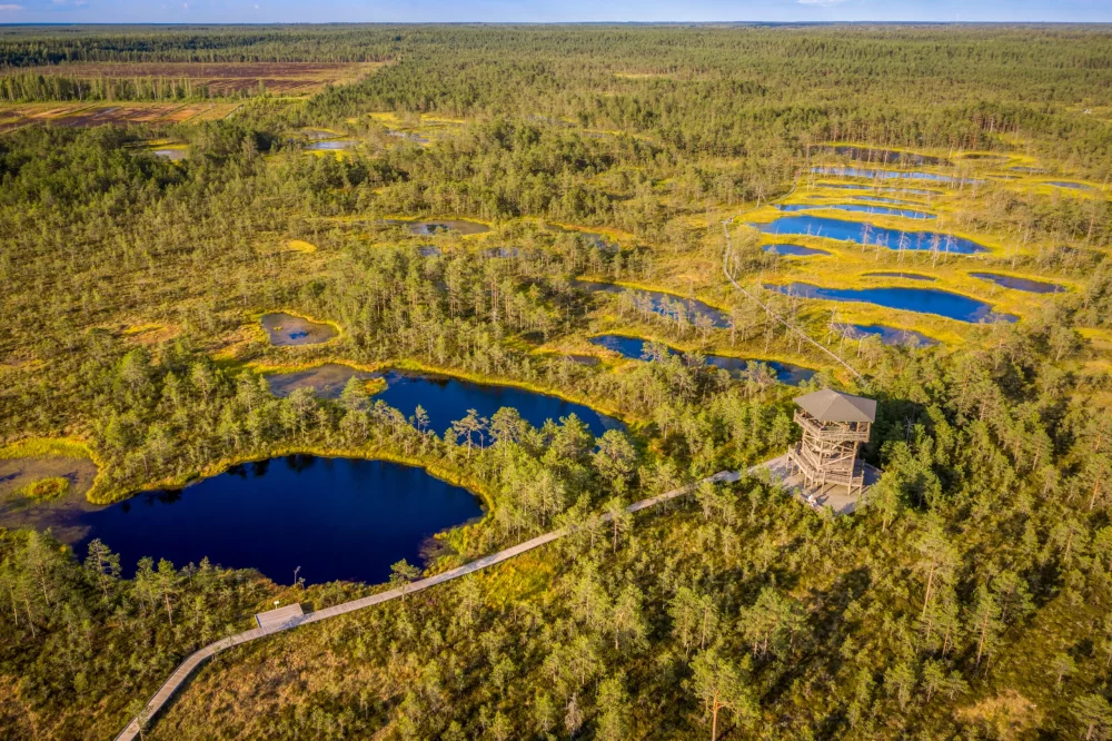 parque-nacional-de-lahemaa-estonia-1000x666 - “Coolcation”, la tendencia de viajes que surge como respuesta al cambio climático