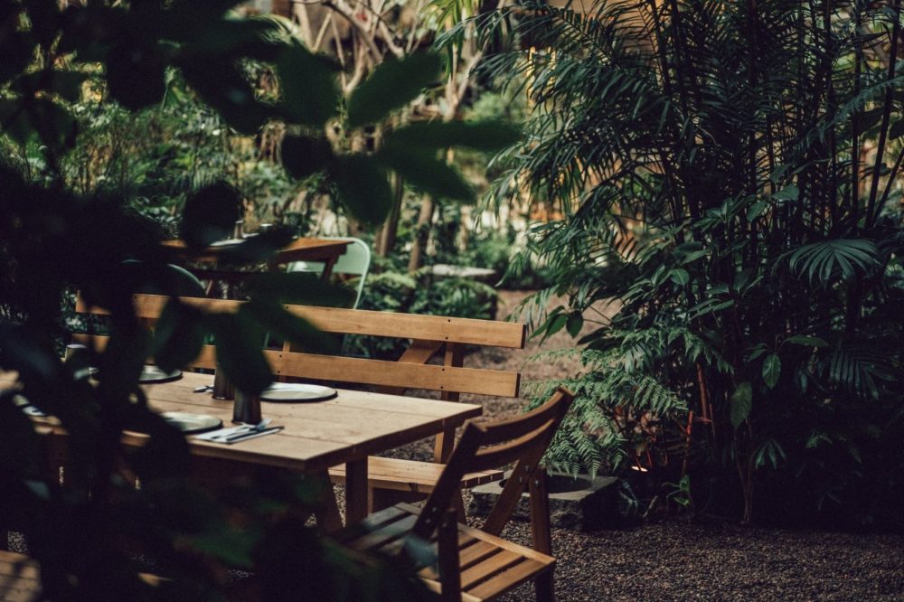 restaurante-chui-1000x666 - Chui: hongos, vegetales y conservas