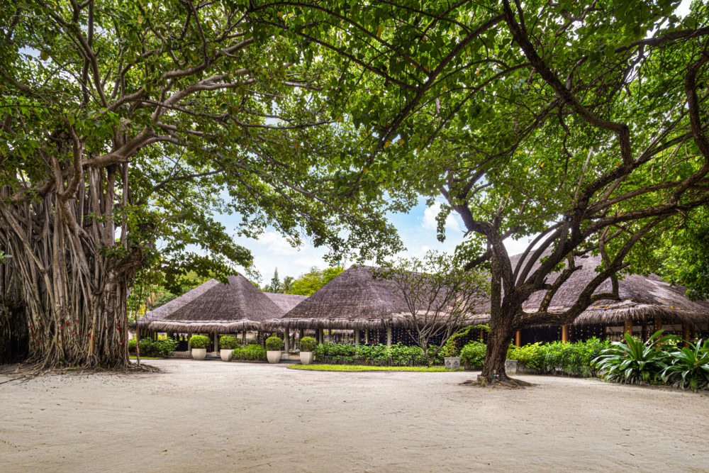 7-Banyan-Restaurant-1000x667 - Tienes que vivir una Navidad tropical en Las Maldivas con Adaaran Resorts