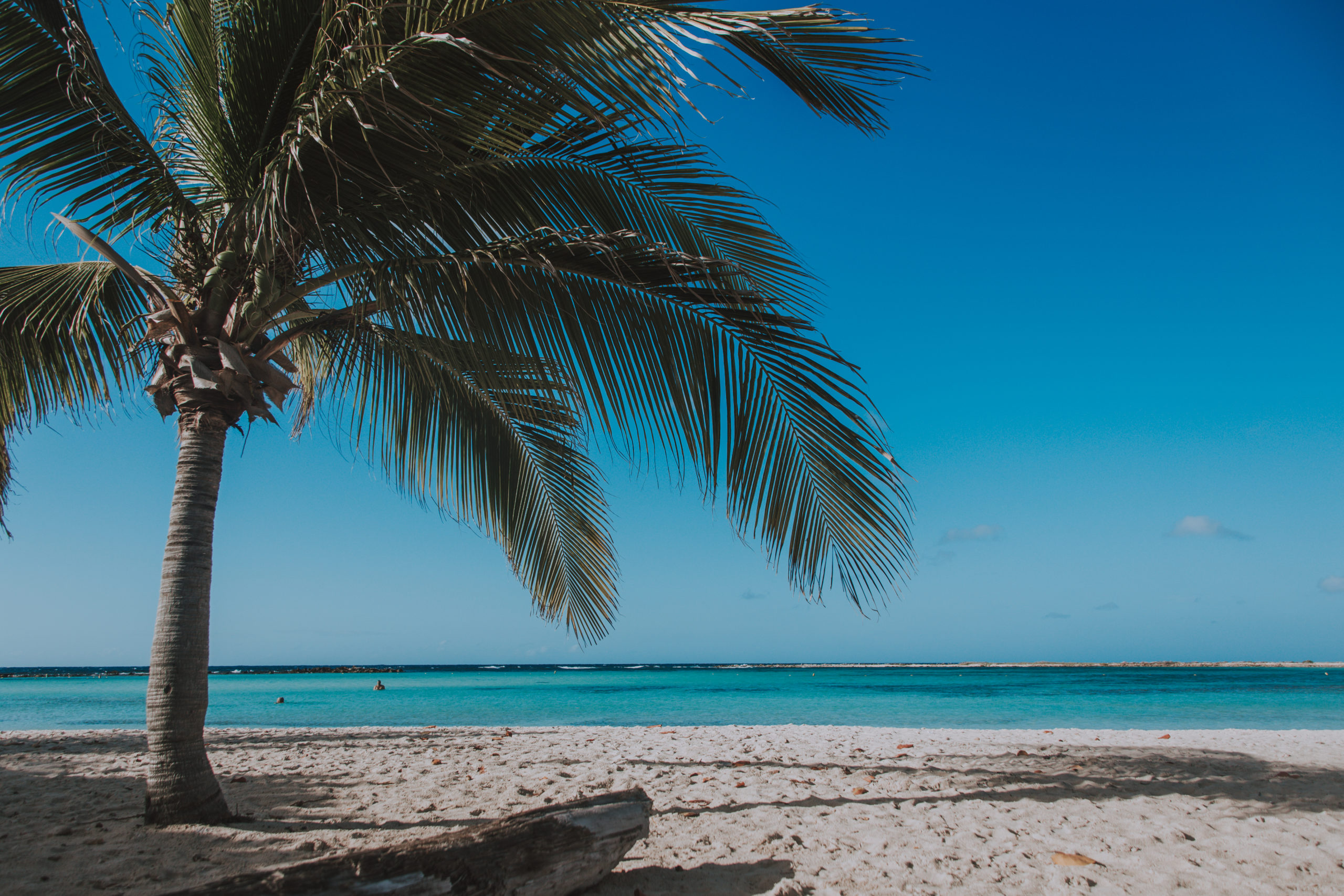 Aruba, bienestar y conexión auténtica con el Caribe profundo