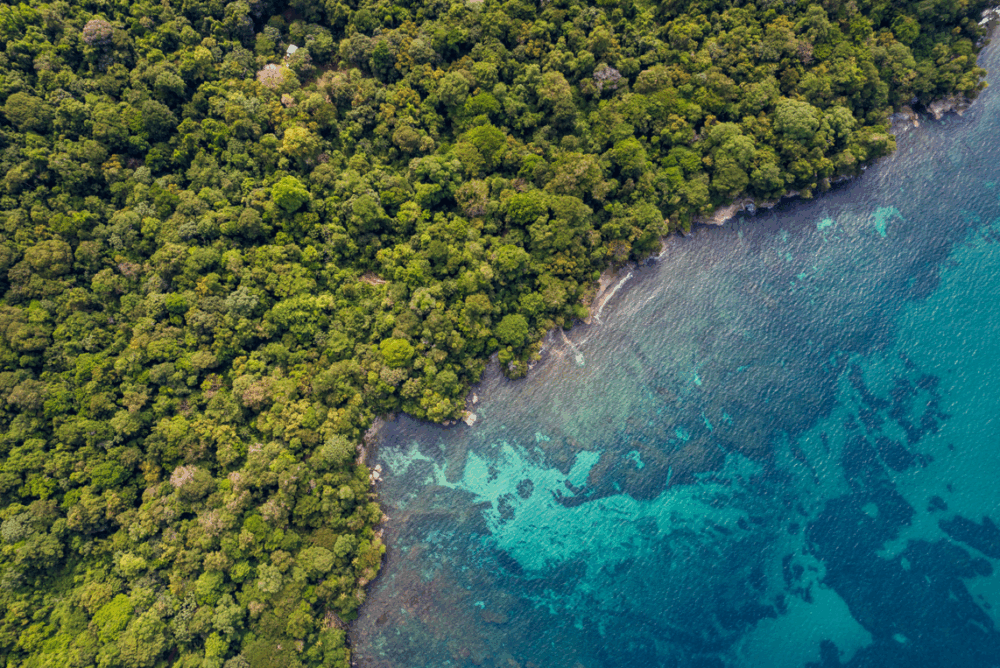 Captura-de-pantalla-2025-08-19-114902-1000x668 - Duerme entre los bosques tropicales, volcanes y playas de Costa Rica en estos 7 hoteles boutique