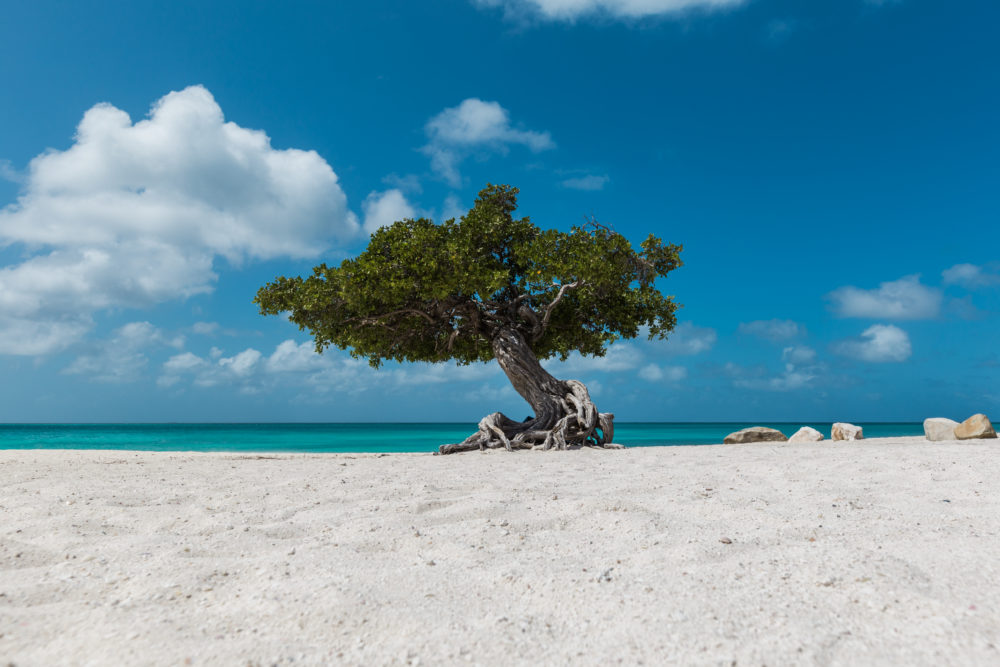 Eagle-Beach--1000x667 - Aruba, bienestar y conexión auténtica con el Caribe profundo