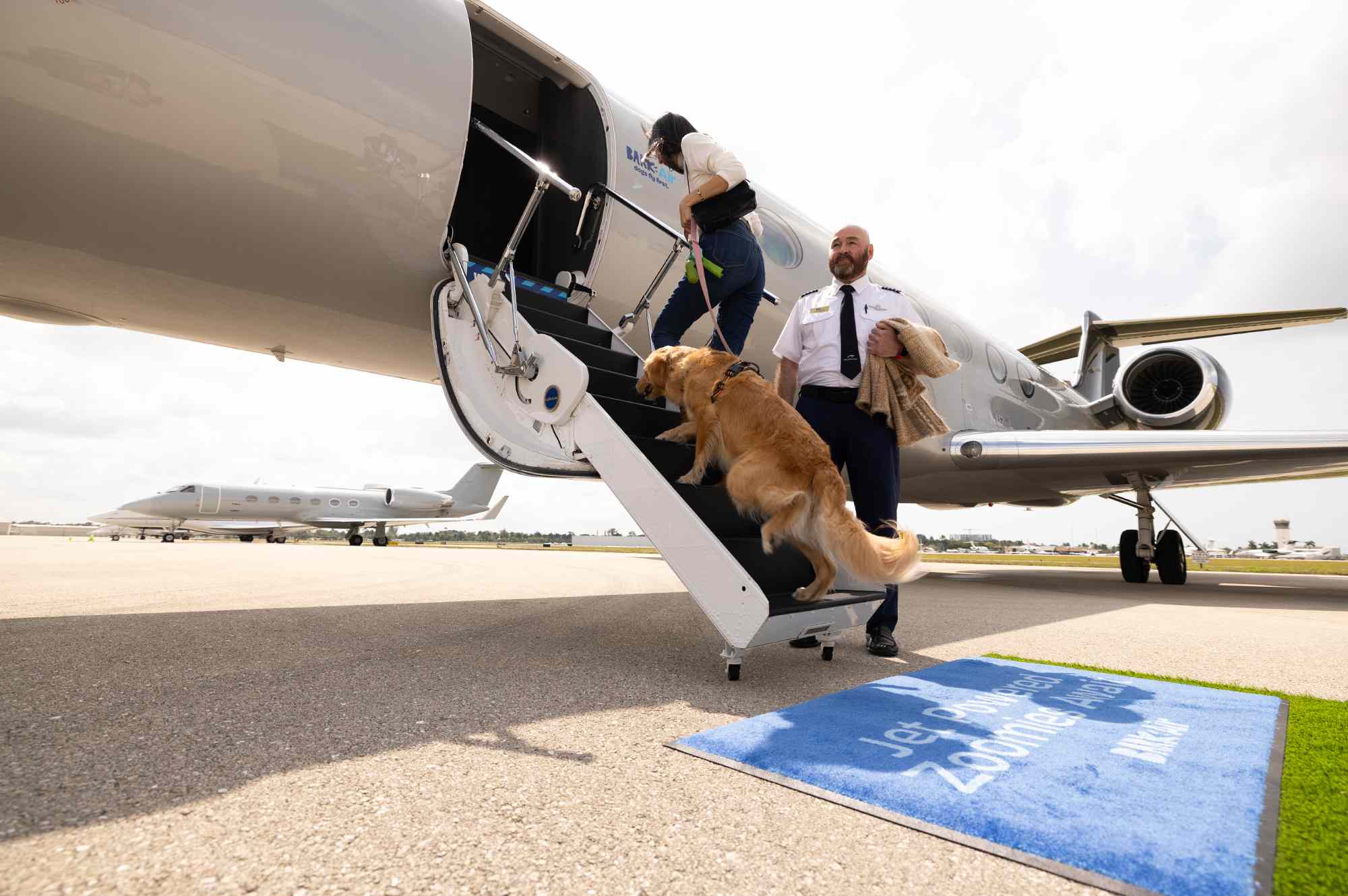 Bark Air, la aerolínea que convierte a los perros en viajeros VIP Bark Air, la aerolínea que convierte a los perros en viajeros VIP