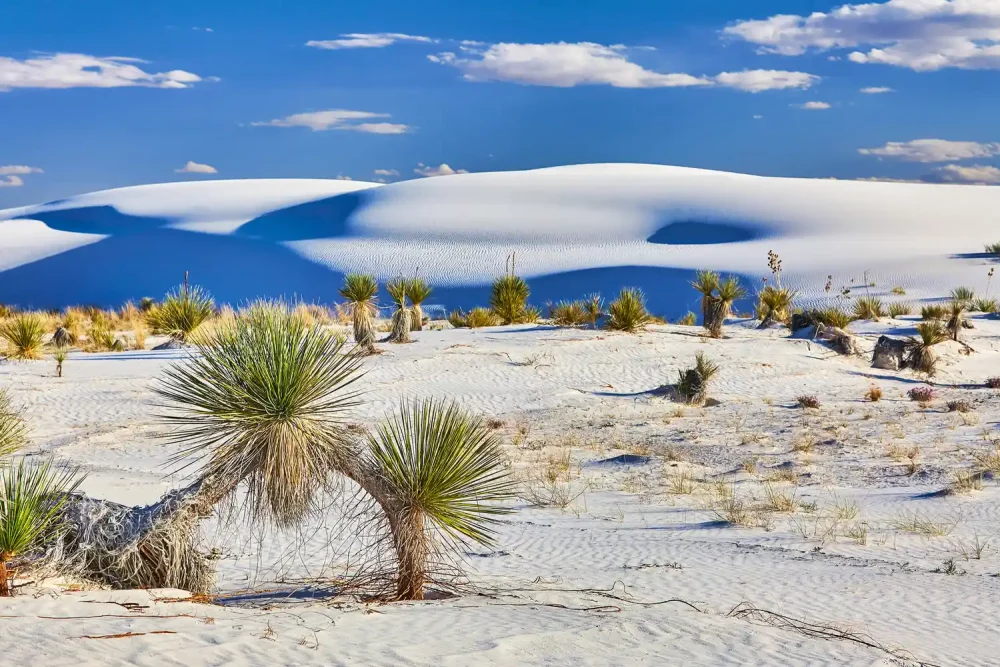 TAL-best-time-to-visit-WHITESANDSNP0725-b962708905b64390b2f194d13a13ae60-1000x667 - Parque Nacional White Sands: un mar sin agua con dunas que brillan al atardecer