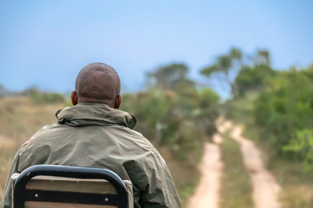 andbeyond-Phinda-safari-1000x665 - Safari en &Beyond Phinda: reserva privada en Sudáfrica