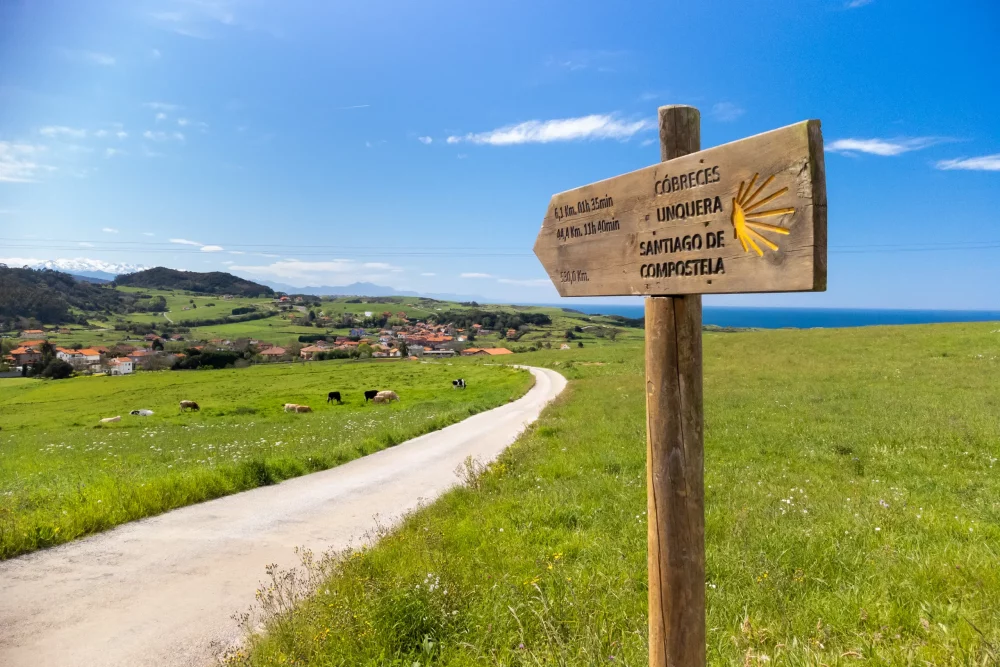 camino-de-santiago1-1000x667 - Los viajes a pie son tendencia: caminar para descubrir el mundo (y a uno mismo)