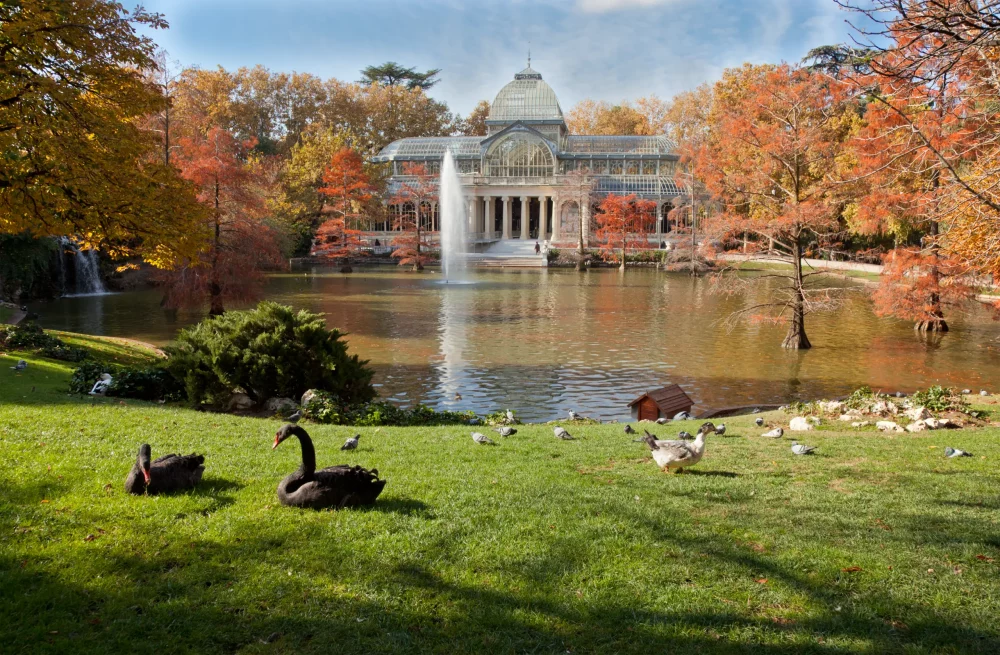 el-retiro-madrid-1000x655 - Las mejores cosas que hacer en Madrid: 20 actividades atemporales