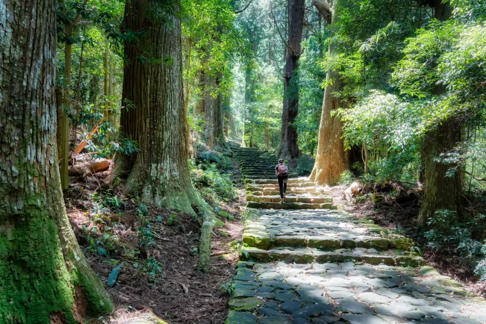 kumano-kodo-1000x667 - Los viajes a pie son tendencia: caminar para descubrir el mundo (y a uno mismo)