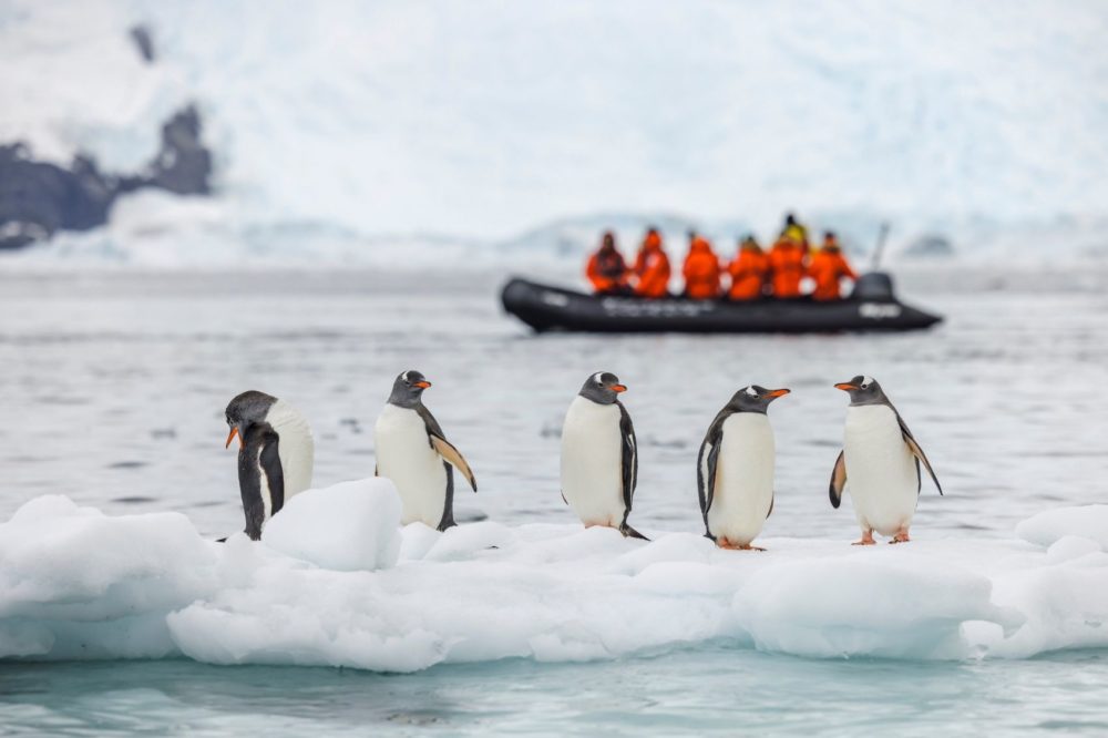 Pasé 20 días en la Antártida y aprendí lecciones de vida épicas