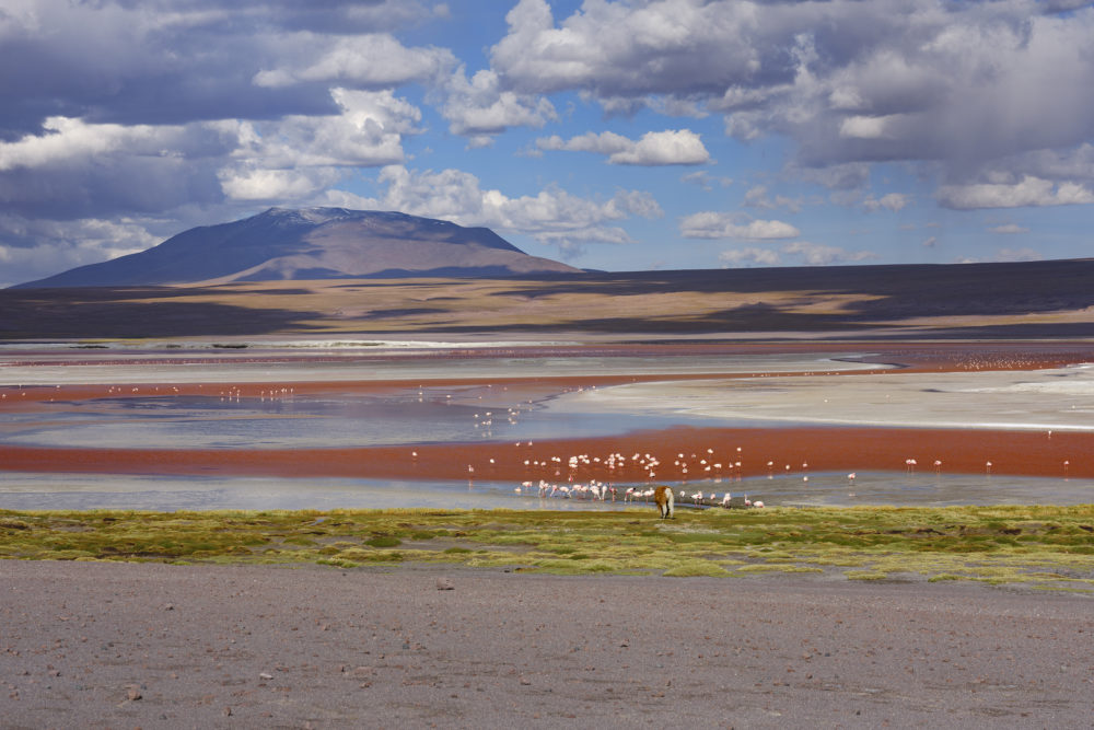 21-1000x667 - Travesía por el Altiplano boliviano