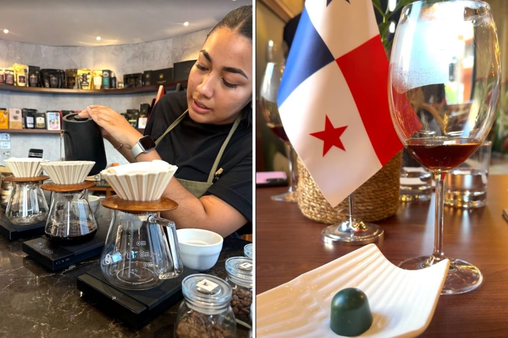 Cafe-geisha-panama-1000x666 - Qué hacer en Panamá (además de visitar el canal)