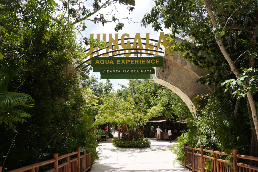 DSC01991-1000x667 - VidantaWorld Riviera Maya: lujo, aventura y diversión para toda la familia