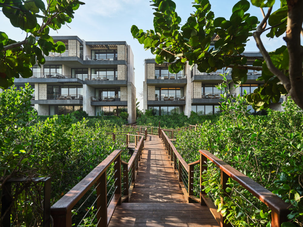 ETE_Exteriors_2024_4-1000x750 - Etéreo: un santuario frente al mar entre manglares y playas vírgenes 