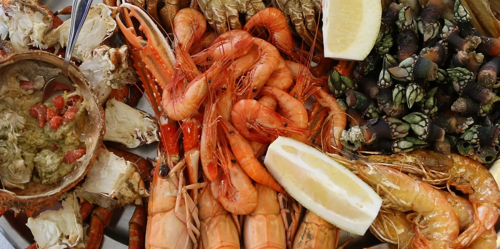 marisco-gallego-1000x499 - Más de 80 bares en 150 metros, la Rúa do Franco en Santiago de Compostela es el paraíso de las barras