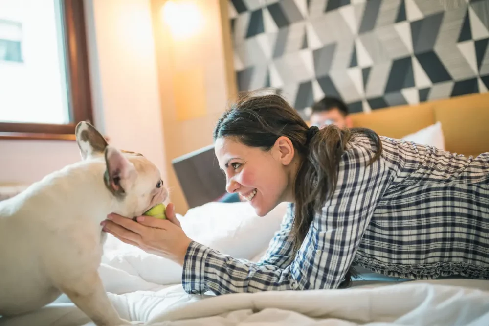 perro-hotel1-1000x666 - Vacaciones caninas: los mejores hoteles para ir con perro en España
