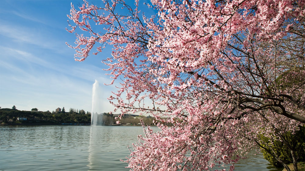 Un Madrid inesperado: la nueva ruta para descubrirla desde tres barrios auténticos