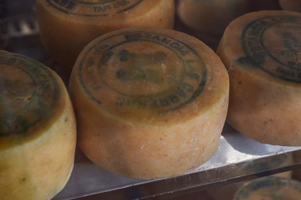 DSC_0467-1000x667 - Tucumán, una escapada con amigas tierra adentro