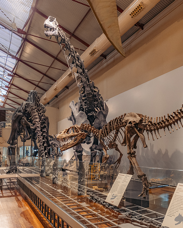 MUSEO-CIENCIAS-NATURALES-25_03_l-@MADRIDDESTINO-copia - Un Madrid inesperado: la nueva ruta para descubrirla desde tres barrios auténticos