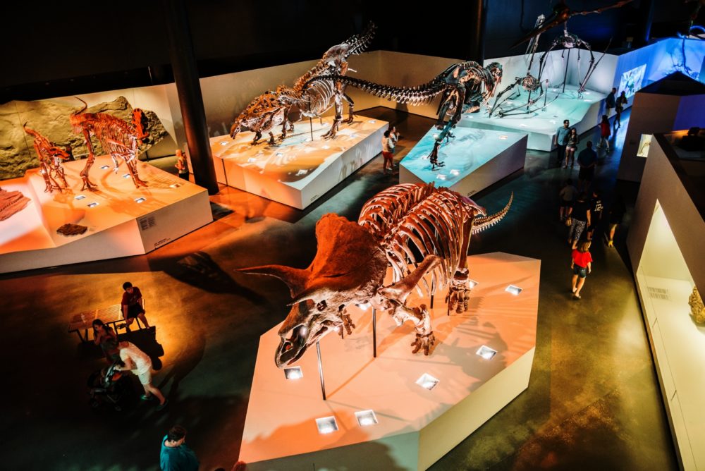 Los museos que no puedes perderte en tu próxima visita a Houston