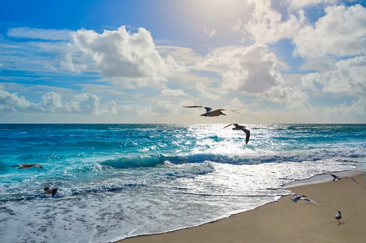 Descubre Ocean Reef Park: la joya costera de Riviera Beach que conquista el sureste de Estados Unidos