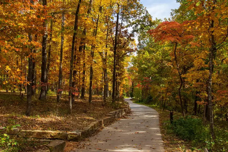TAL-biking-path-fall-bentonville-arkansas-FALLMTBIKECAP0925-7397588b608c404b8de9b75b2ab2b574 - Travel + Leisure en Español - Edición Perú