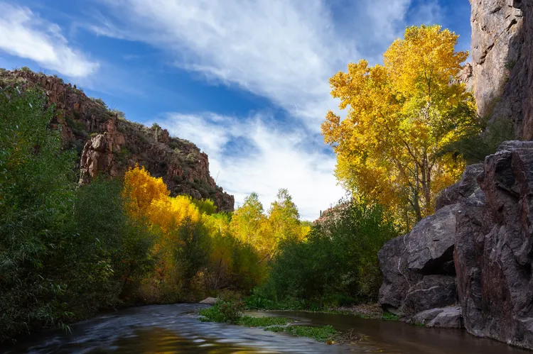 Cañón Aravaipa: Un oasis de follaje dorado en el corazón del desierto de Arizona