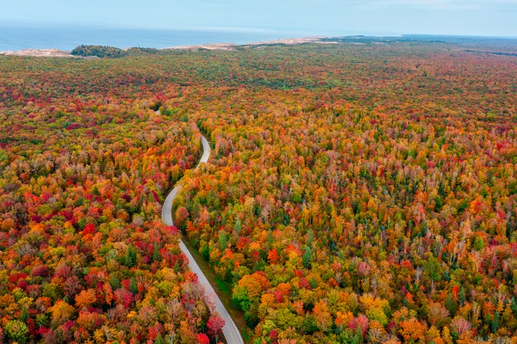 Michigan: donde el otoño brilla sin multitudes