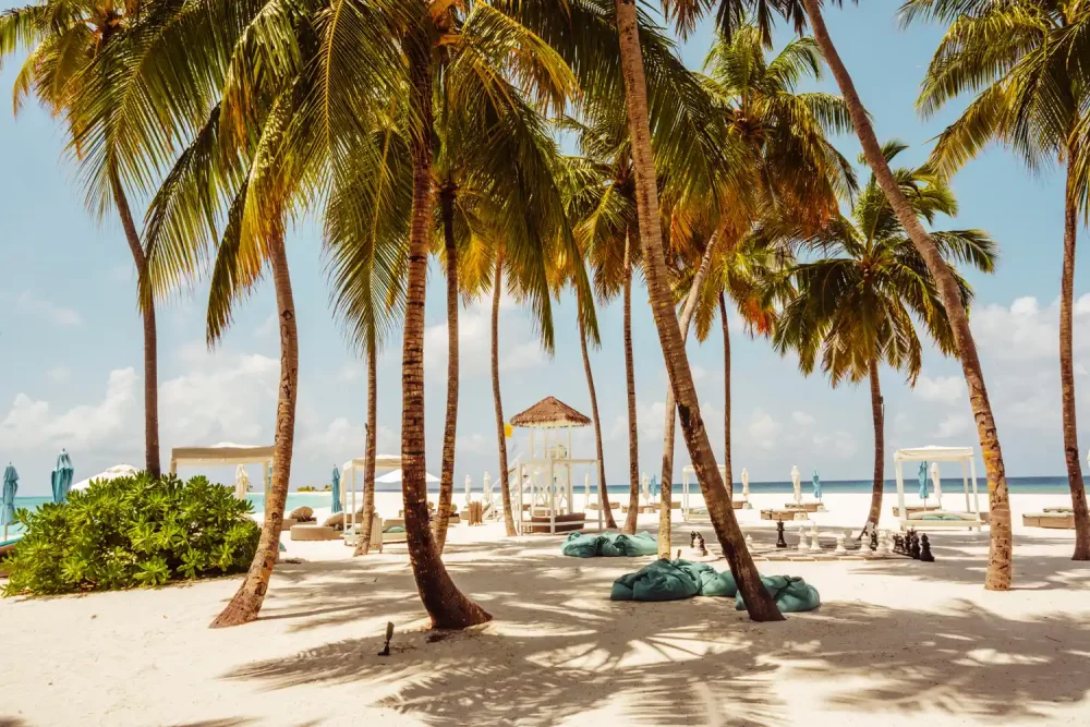 TAL-what-to-know-before-BAAATOLLMLD0825-853afe3d7866400abadc1656dd9b6257-1000x667 - Atolón Baa: duerme en una villa sobre el agua, cena bajo el mar y ve mantarrayas