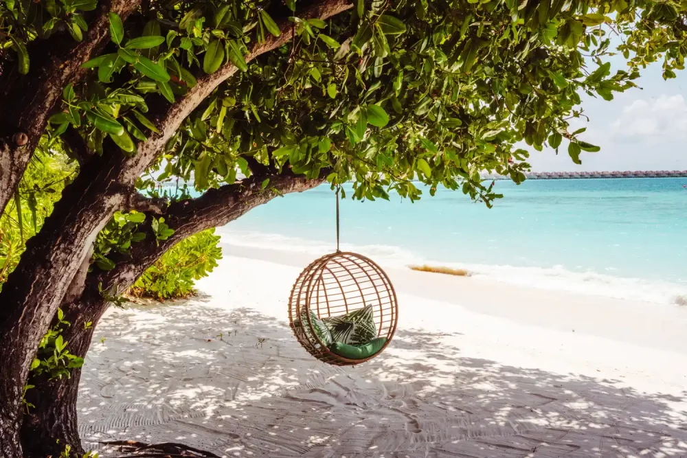 TAL-when-to-visit-BAAATOLLMLD0825-baa3cf90a9c347faa2afdebc8c91d099-1000x667 - Atolón Baa: duerme en una villa sobre el agua, cena bajo el mar y ve mantarrayas