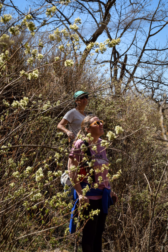 Tafi-Del-Valle-Gloria-Montanaro-027-667x1000 - Tucumán, una escapada con amigas tierra adentro