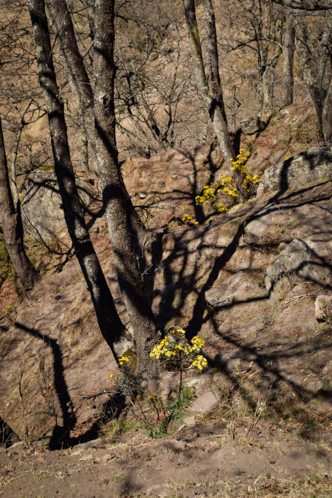 Tafi-Del-Valle-Gloria-Montanaro-033-667x1000 - Tucumán, una escapada con amigas tierra adentro