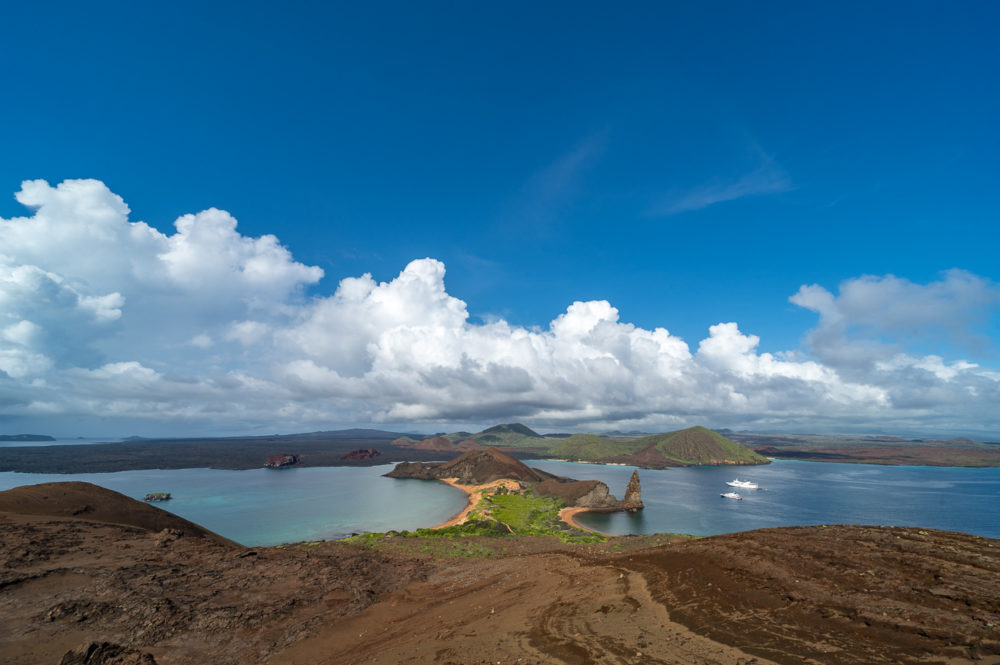 Viaje a las Galápagos: conservación, turismo pionero y especies no tan populares