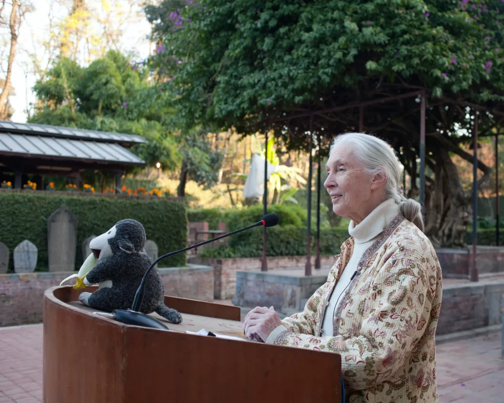 Quién fue Jane Goodall y por qué sus reservas de chimpancés son las mejores de África