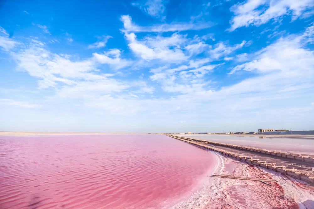 Descubre el famoso Lago Rosa de Senegal