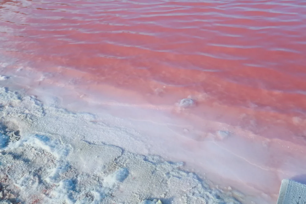 lago-rosa-senegal-3-1000x667 - Descubre el famoso Lago Rosa de Senegal