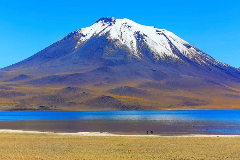 laguna-miscanti-chile-1000x666 - Cuándo visitar la Laguna Miscanti en Chile