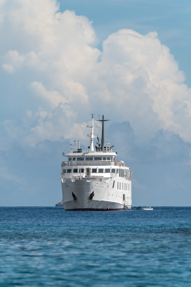yate-La-Pinta-Galapagos-Marck-Gutt-1-665x1000 - Viaje a las Galápagos: conservación, turismo pionero y especies no tan populares