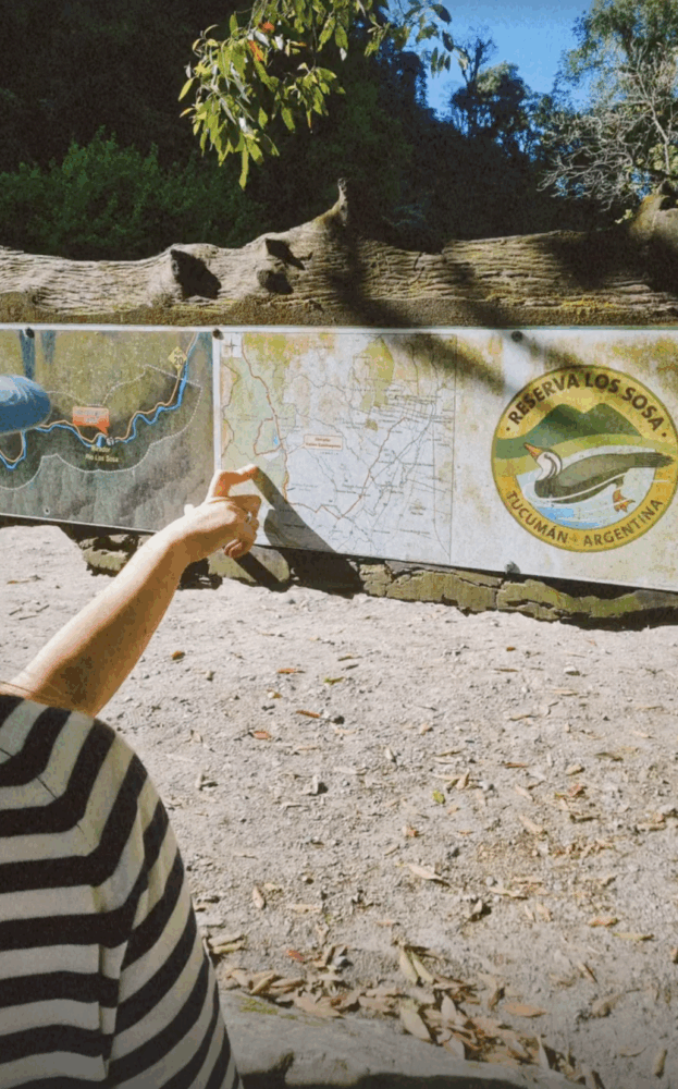 yungas-tucuman-623x1000 - Tucumán, una escapada con amigas tierra adentro