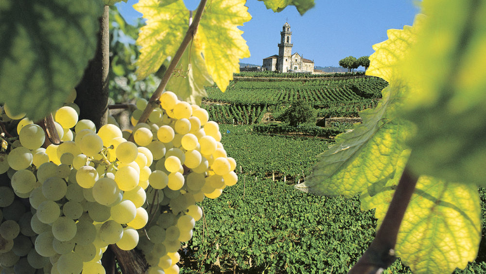 La permanente Galicia y el renacer verde del norte