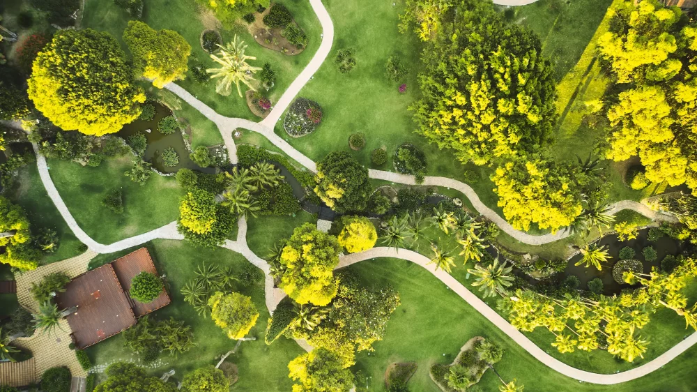 Don-Carlos_Marbella_DC_JARDINES_1-1000x562 - Don Carlos Marbella: el renacer de un icono del lujo mediterráneo