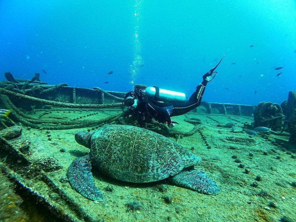 WhatsApp-Image-2025-11-19-at-10.02.34-PM-1-1000x750 - ¿Qué se siente al bucear?