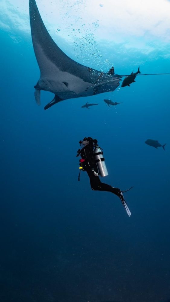 WhatsApp-Image-2025-11-19-at-6.31.10-PM-563x1000 - ¿Qué se siente al bucear?