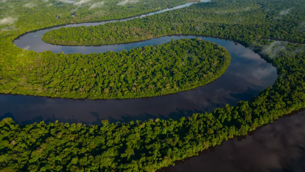 ¿Es ético visitar la Amazonia? Aquí tienes claves por si quieres ver el mayor pulmón verde del mundo
