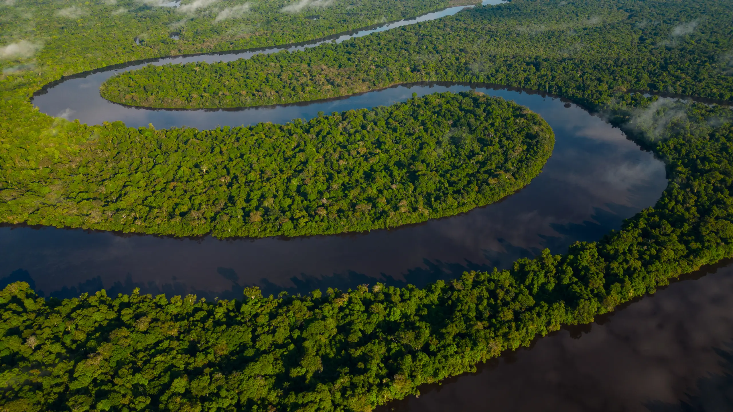¿Es ético visitar la Amazonia? Aquí tienes claves por si quieres ver el mayor pulmón verde del mundo