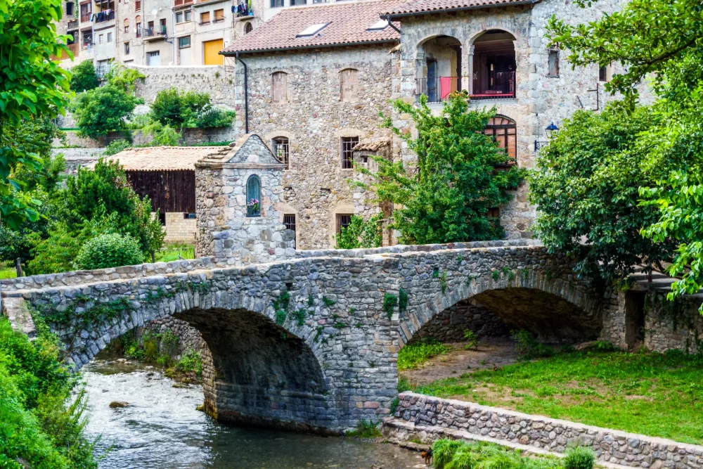 Setas, hongos y boletus: los bonitos pueblos donde darte un atracón micológico en Cataluña