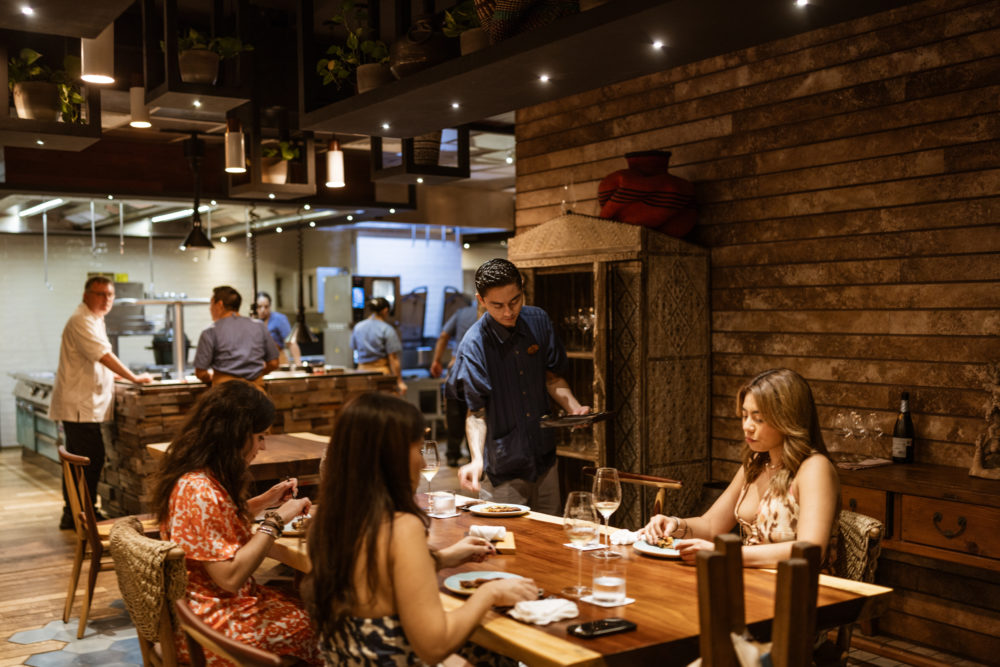 openingXAL-72-1000x667 - La Xal de la Tierra 