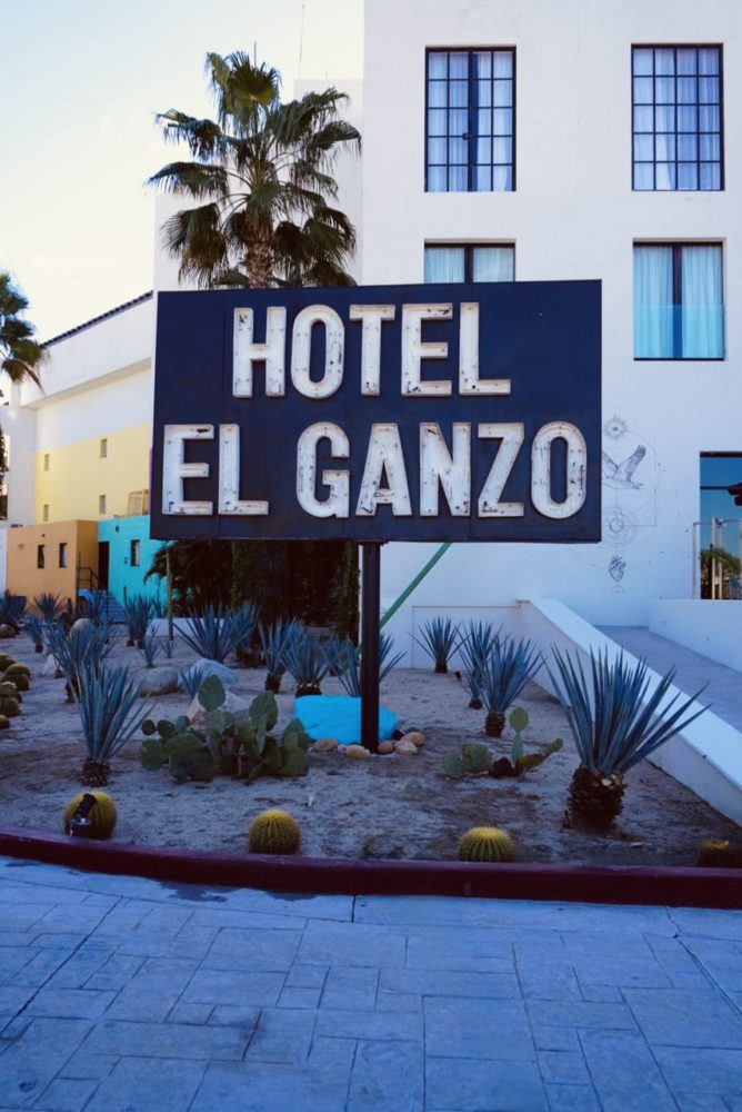 37d39e93-668a-4b8e-9422-4852956a3b3f-668x1000 - Hotel El Ganzo: arte, música y el refugio creativo que transformó San José del Cabo